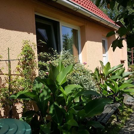 Uns Luett Hus Villa Krakow am See Dış mekan fotoğraf